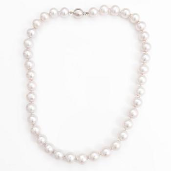 A pearl collier with cultured pealrs and sterling silver clasp.