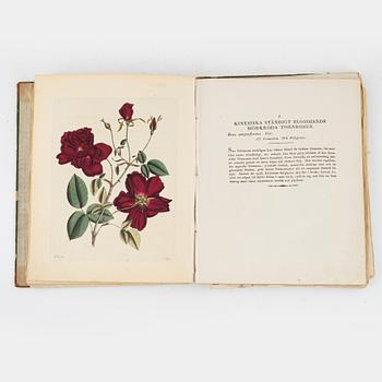 35 coloured engraved flower plates.