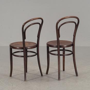 STOLAR, ett par, Fischel, Tjeckoslovakien, 1900-talets början.