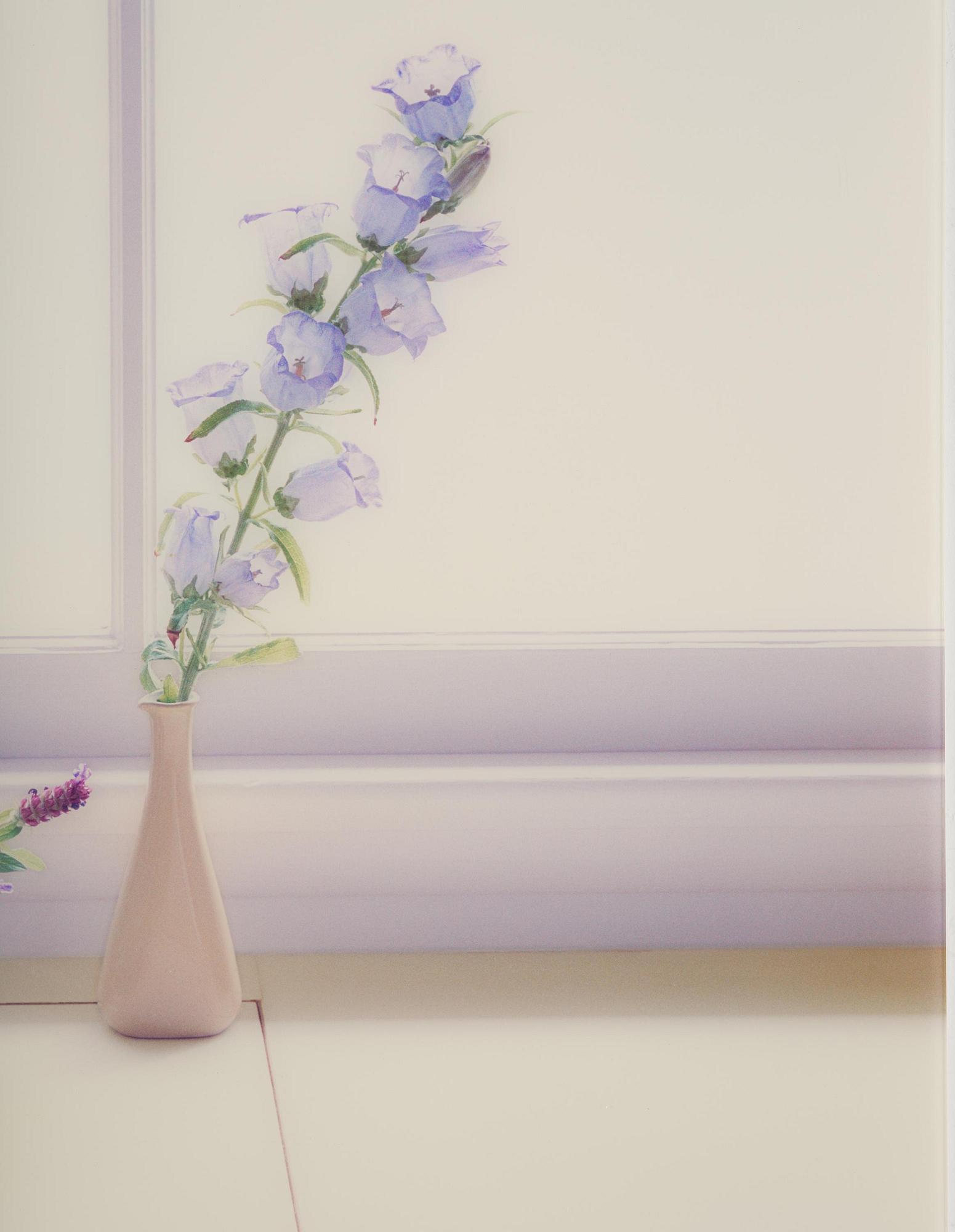 Uta Barth, "Untitled (06.11)".2006.