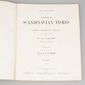 BOK, "Scandinavian Fishes", B Fries, C.U Ekström, C Sundevall. 1895, No 0170.