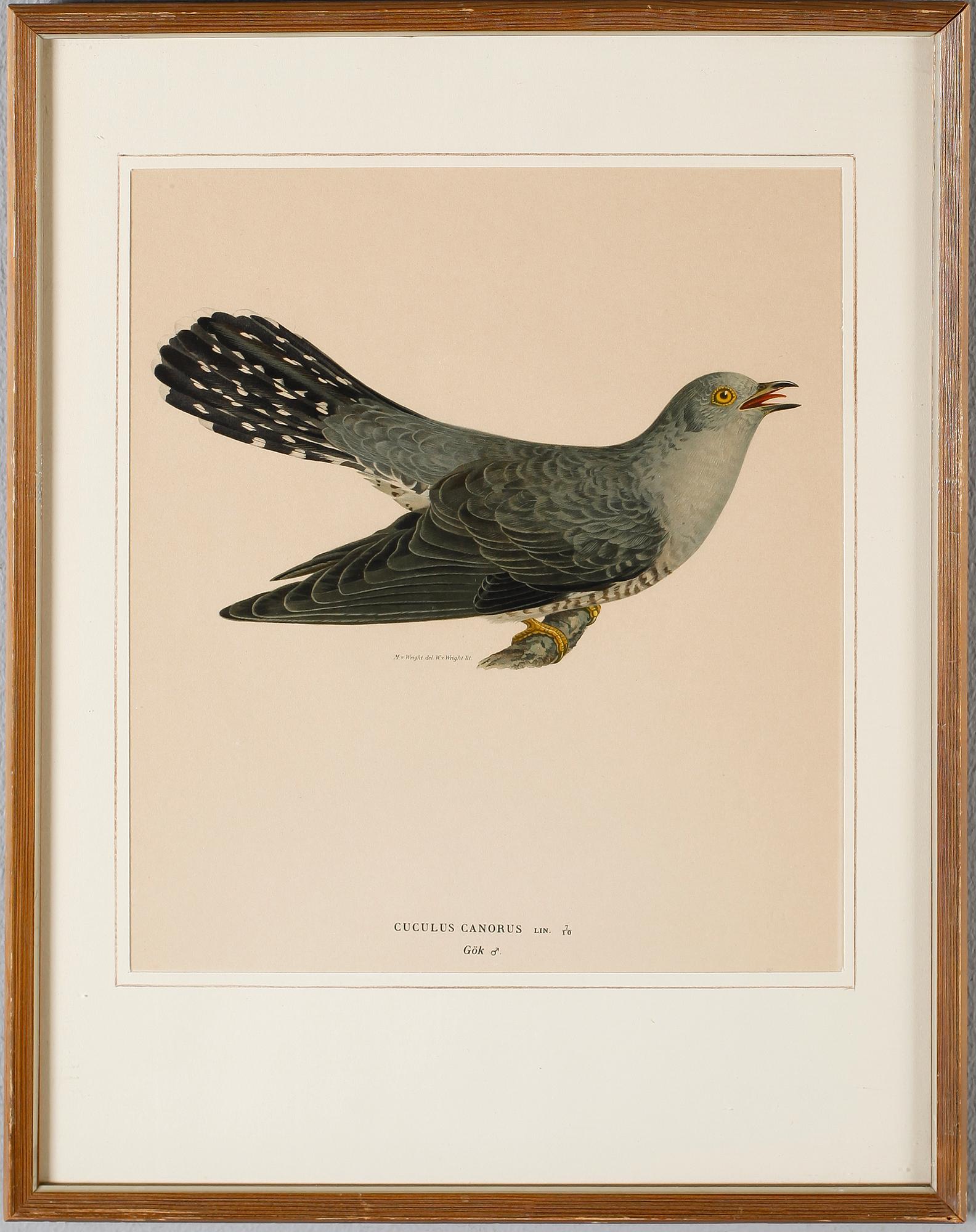 WILHELM VON WRIGHT, efter, 5 st, färglitografier, 1900-tal.