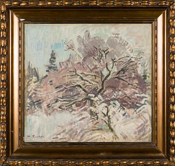 Magnus Enckell, Vintervy.
