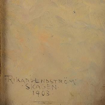 Rikard Lindström, Waves against the Skagen shore.