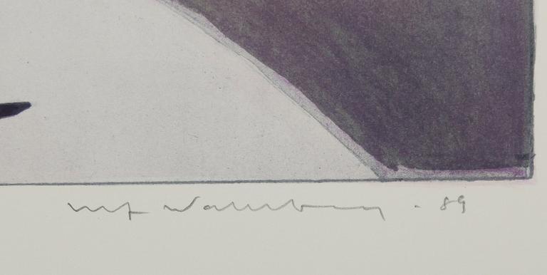 MAPP, Nordens Ljus, 5 olika konstnärer, grafik, begränsad upplaga nr 7.