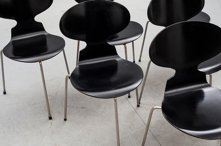 STOLAR, 6 st, "Myran", Arne Jacobsen för Fritz Hansen, 1950-tal.