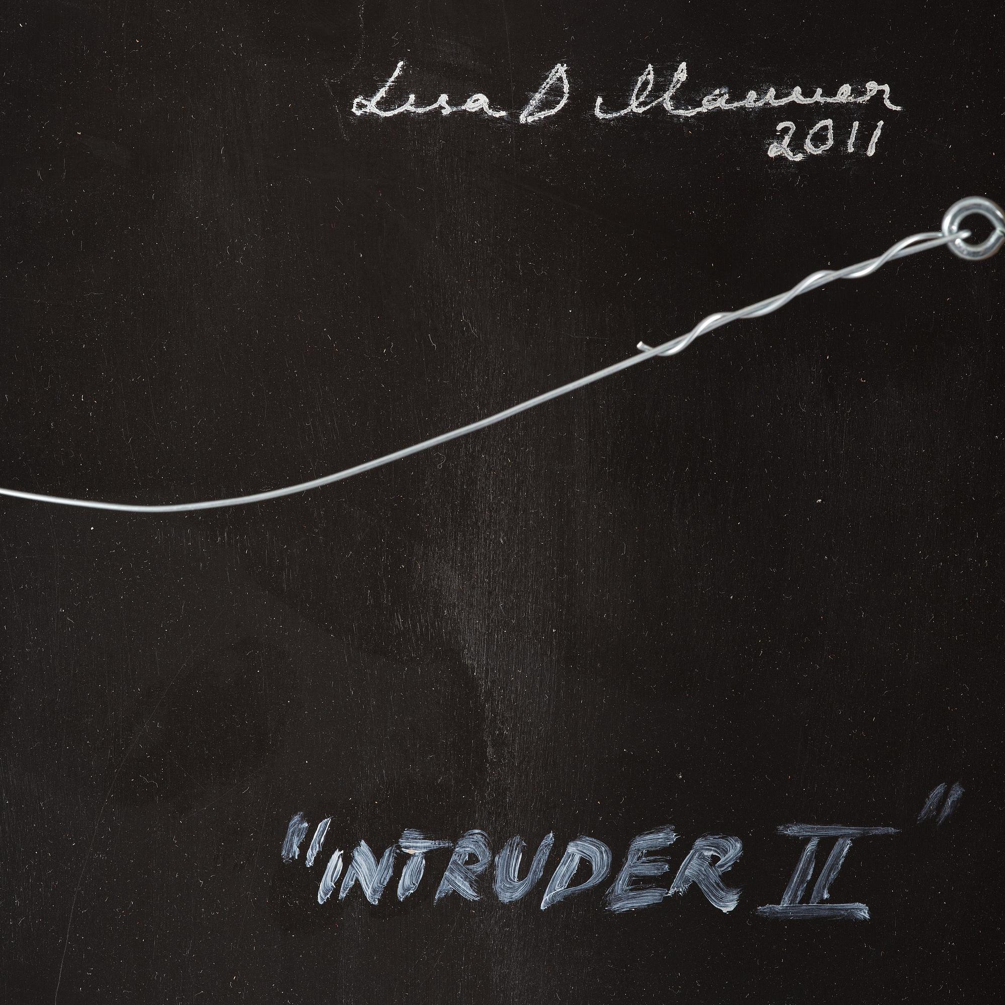 Lisa D Manner, "Intruder II".