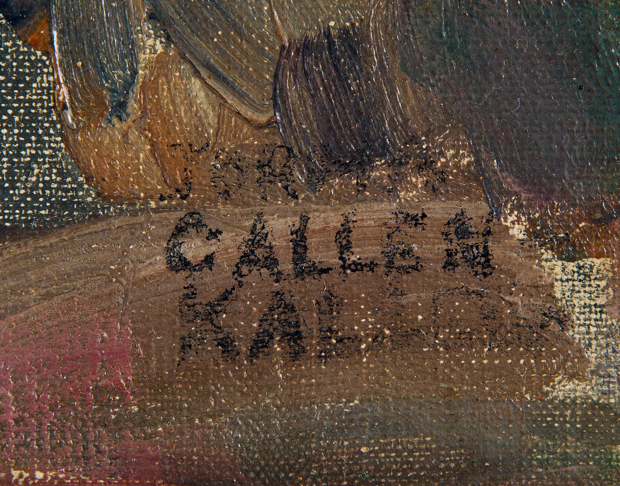Jorma Gallen-Kallela, Kustvy.