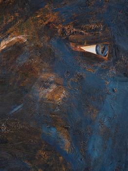 Claes Eklundh, Profile.