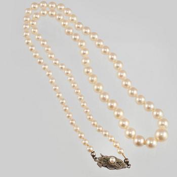 COLLIER, odlade pärlor med lås i silver.