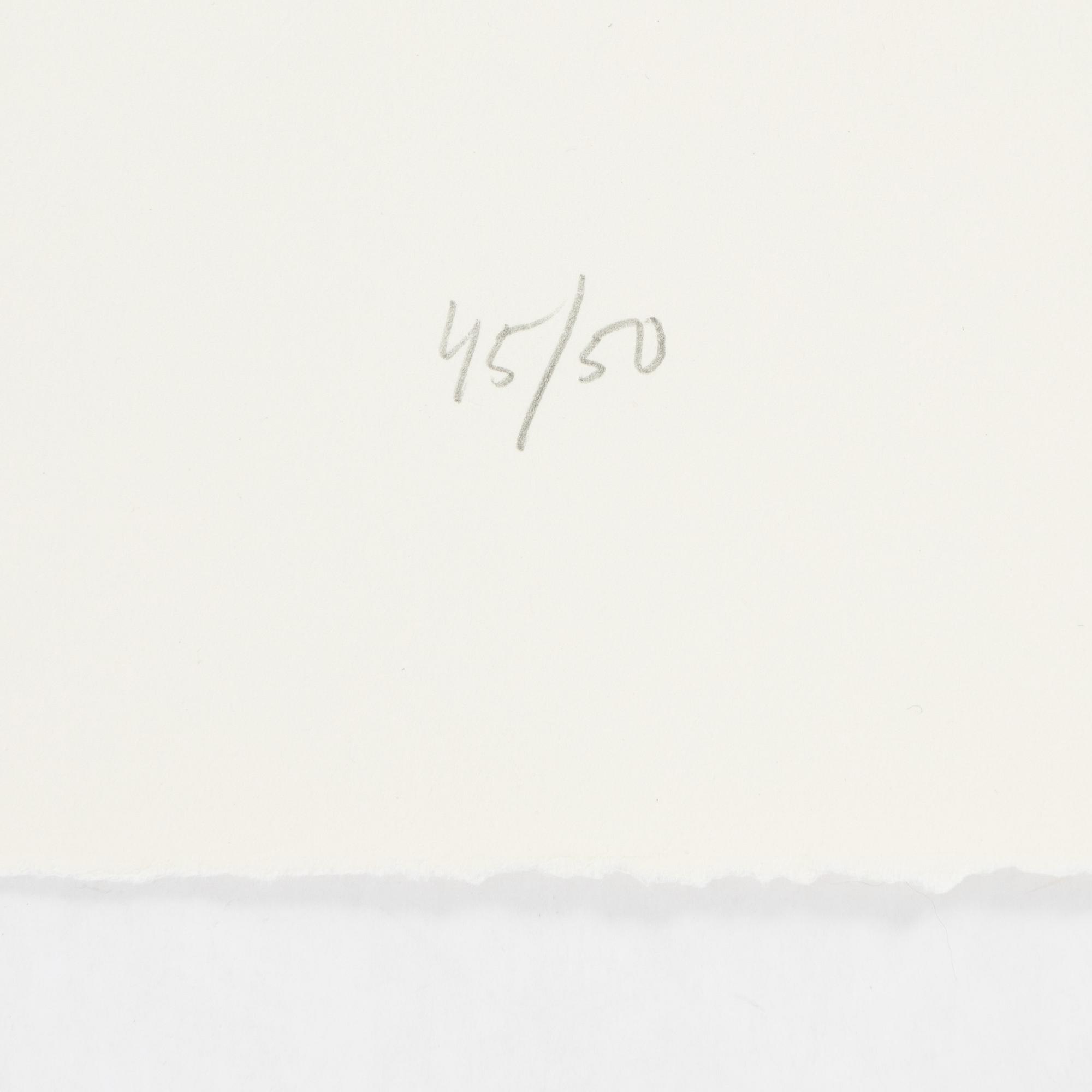 Jan Håfström, etching in colours, 2020, signed 45/50.