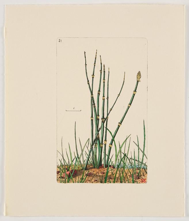 Sten Eklund, "Kullahusets hemlighet" (Kullahussviten).