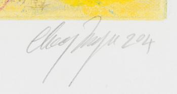 Canal Cheong-Jagerroos, Sommitelma.