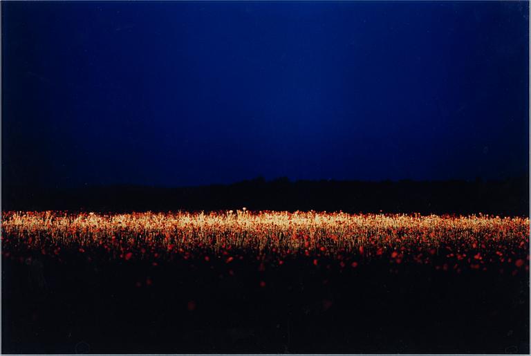 Daniel Sandberg, photograph signed and numbered 6/10 verso.