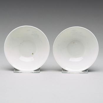 A pair of blue and white bowls, Qing dynasty, Guangxu mark and period (1875-1908).