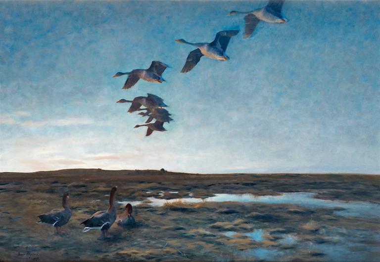 Bruno Liljefors, "Vildgäss i aftonskymning" (Wild geese at dusk).