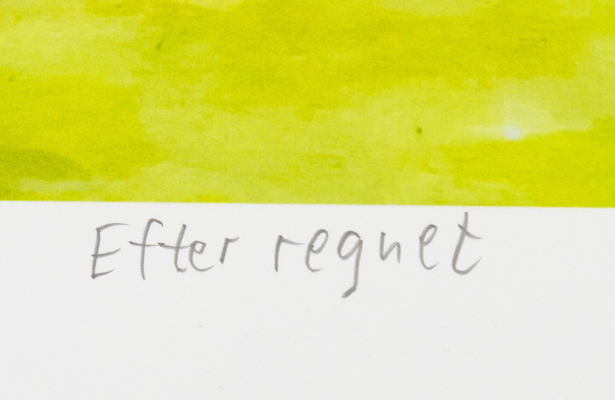 Carl Johan De Geer, "Efter regnet".