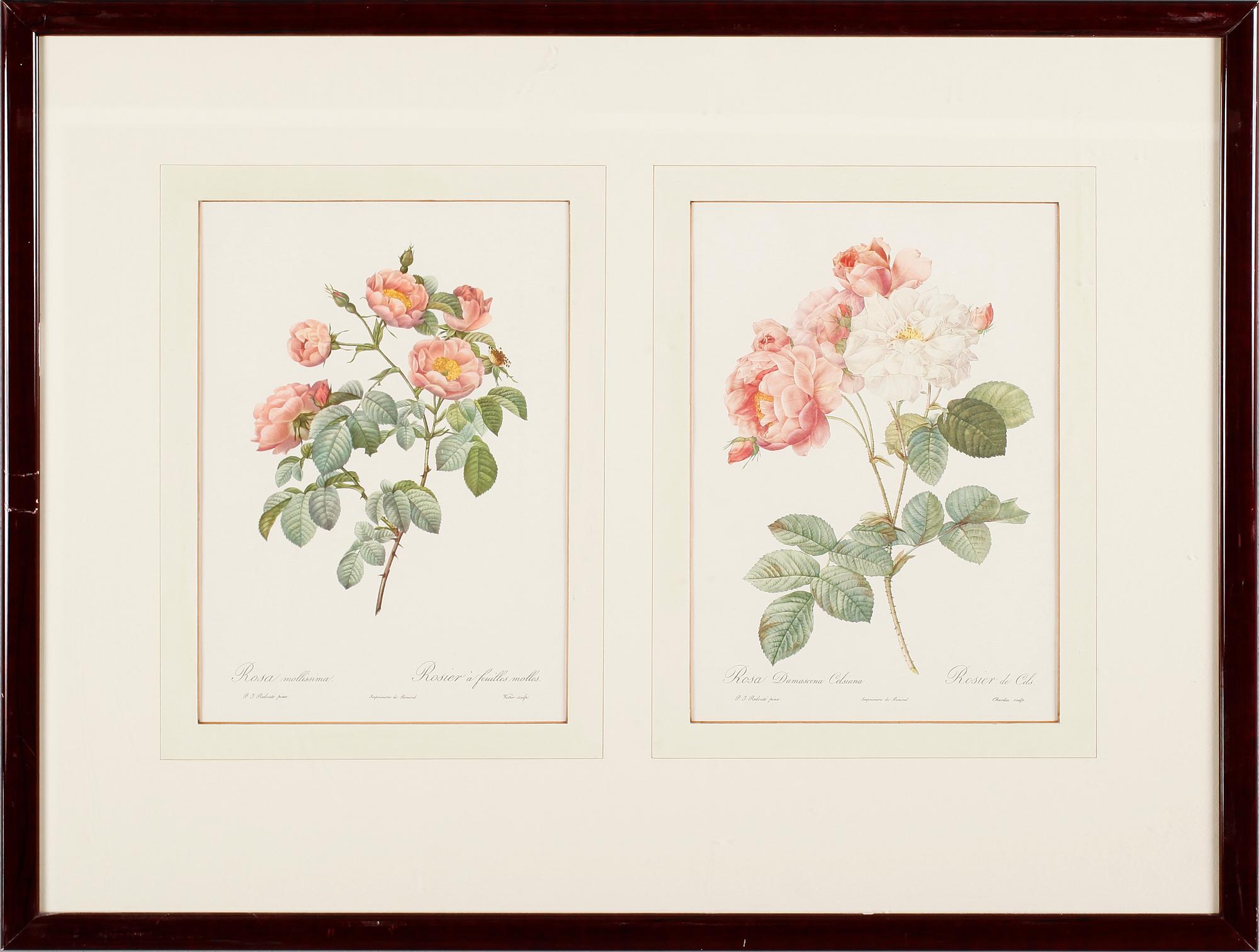 TAVLOR, 6 st, tryck, 1900-talets andra hälft.