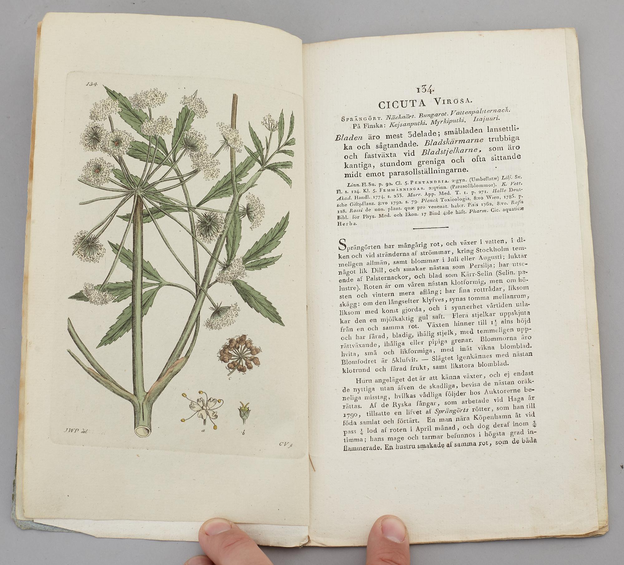 JOHAN WILHELM PALMSTRUCH, "Svensk Botanik, vol I-V. 1803-1805.