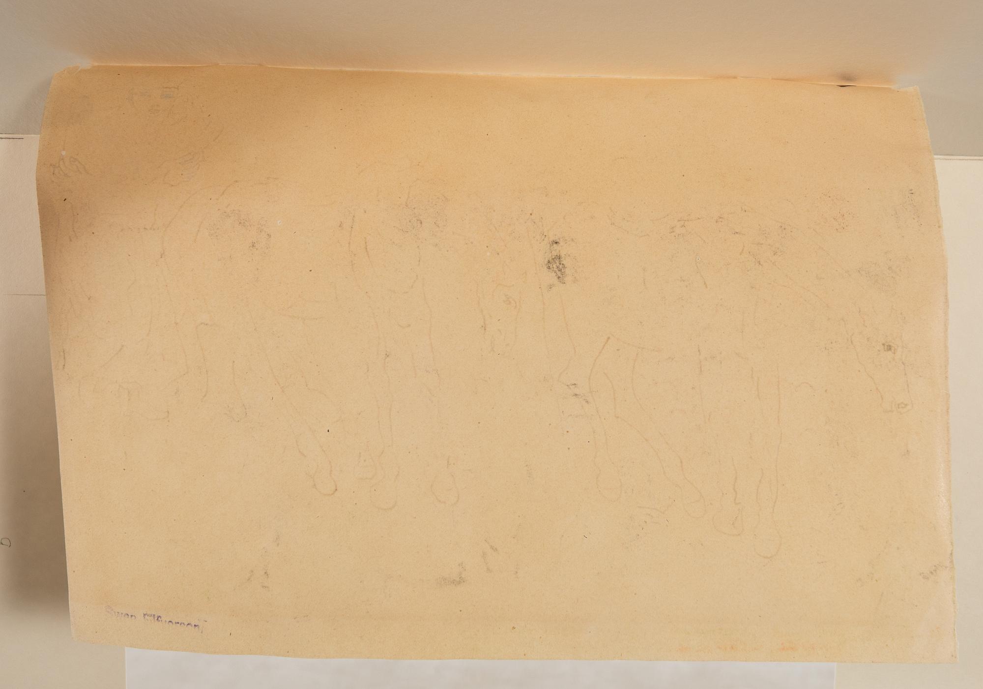 Carl Fredrik Hill, Horses with the military.