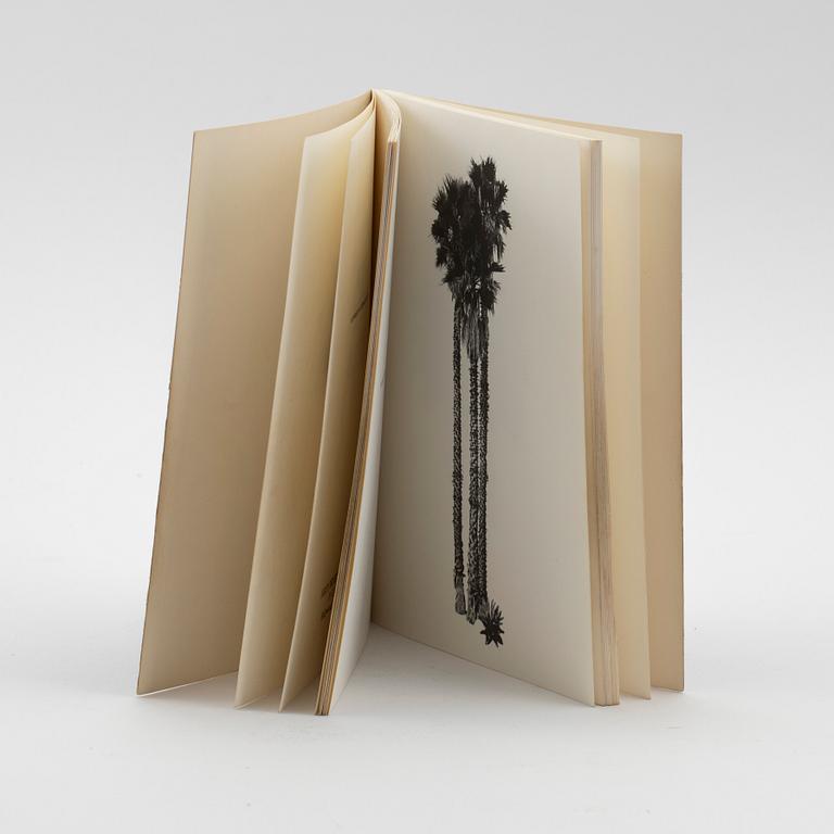 Edward Ruscha, "A few palm trees", 1971.