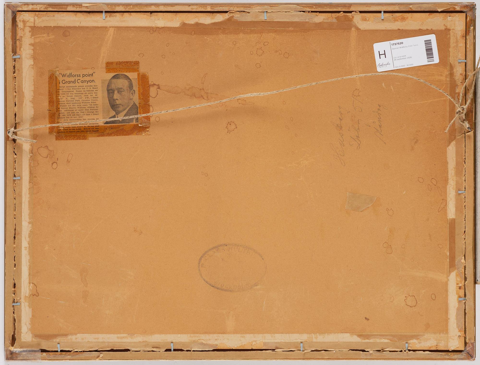 Gunnar Widforss, From Tunis.