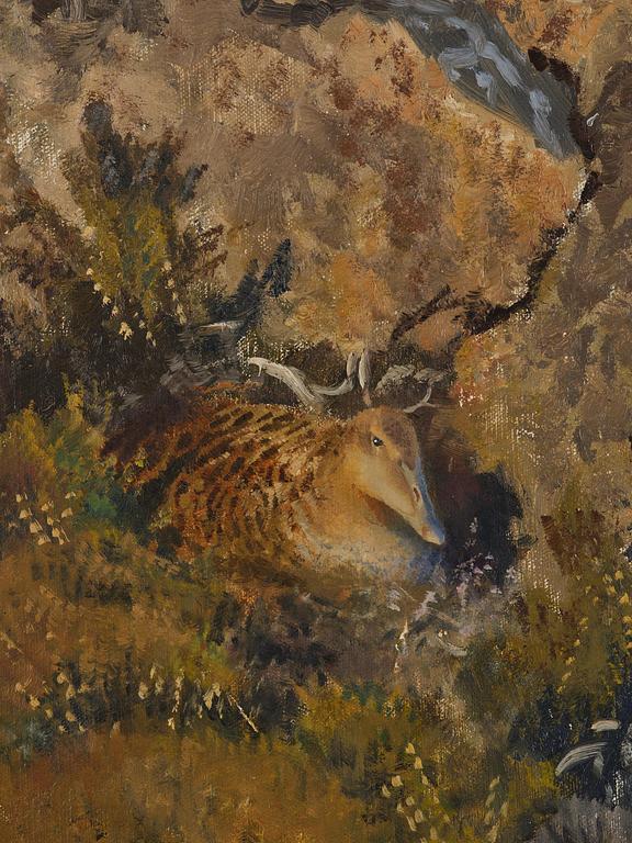 Bruno Liljefors, Brooding eider.