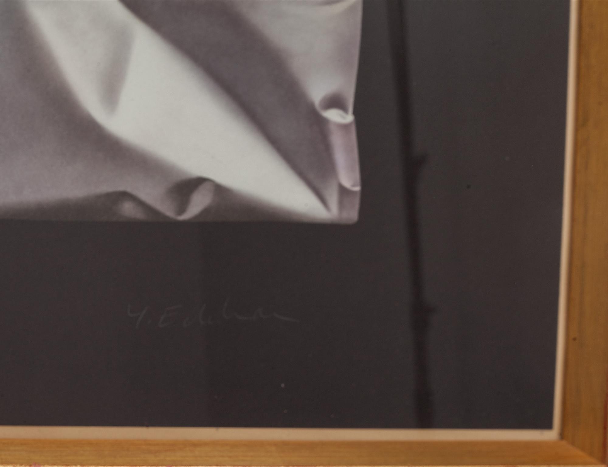 YRJÖ EDELMANN, färglitografi, signerad och numrerad 314/315.