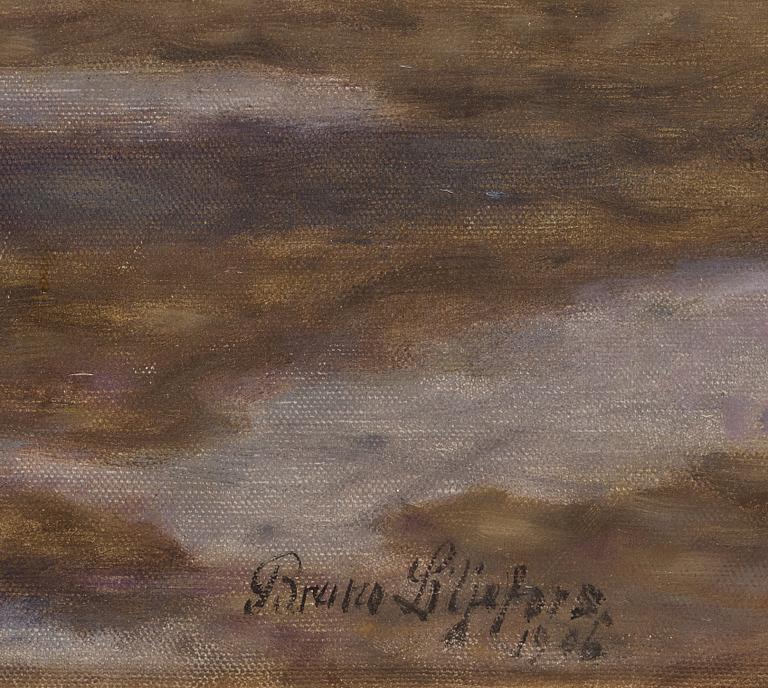 Bruno Liljefors, Geese.