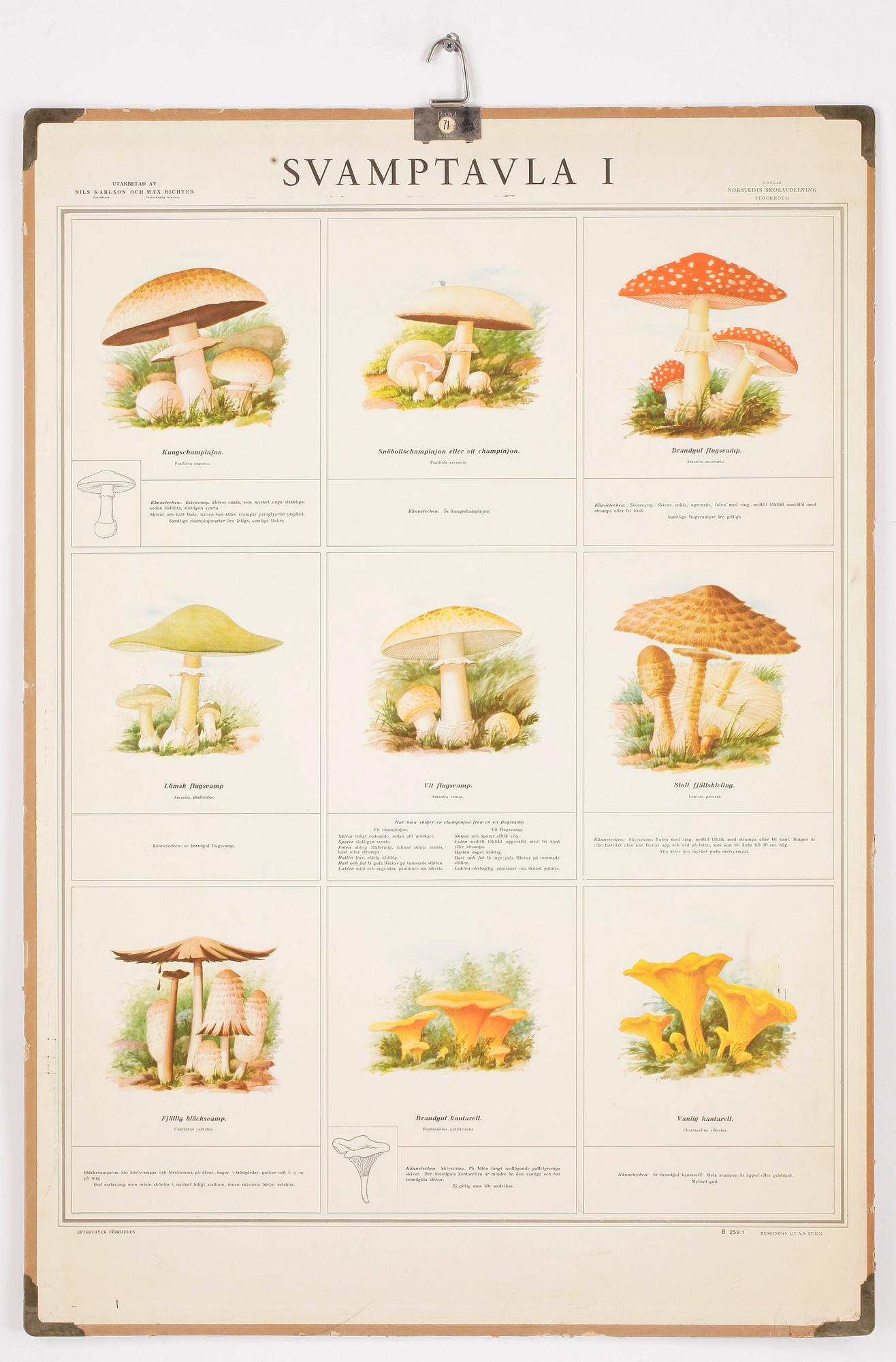 SKOLPLANSCHER, 4st, varav en litografisk plansch, bla Norstedts Förlag.