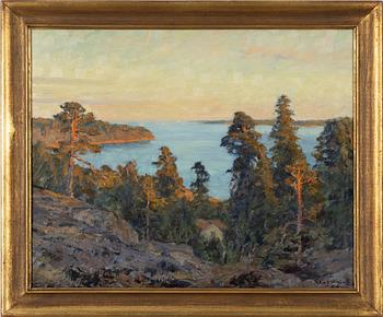 Gottfrid Kallstenius, Extensive view from Table Mountain towards Lilla Hallmare.