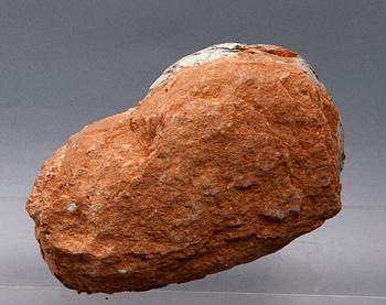 FOSSIL, möjligen Dinosaurieägg.