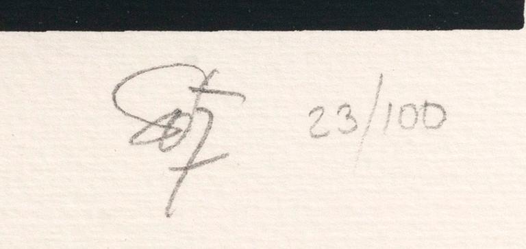 Jesús Rafael Soto, serigrafi, signerad och numrerad 23/100.