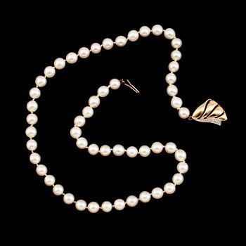PÄRLCOLLIER, odlade pärlor, lås 18 k guld.