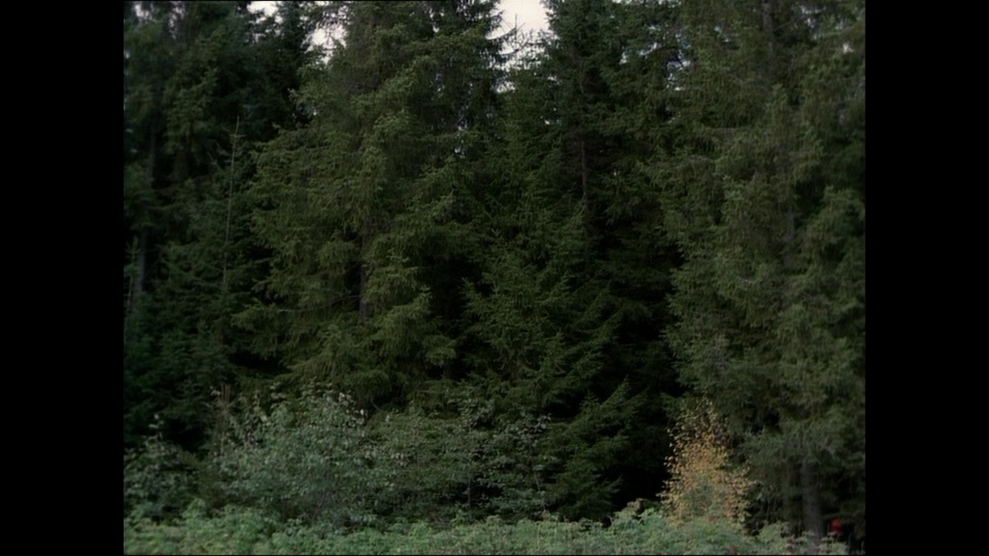 ANNE KATRINE DOLVEN, "2:57".