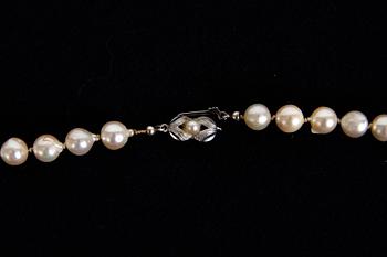 PÄRLCOLLIER med silverlås.