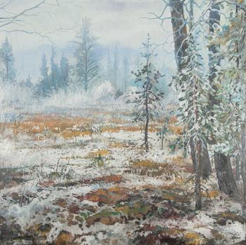 Georg Engeström, Vinterdag.
