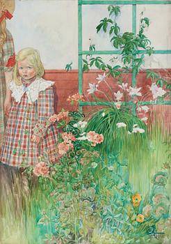 443A. Carl Larsson, "Stött" / "Flicka vid spalier" (Offended/Girl by trellis).