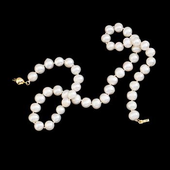 PÄRLCOLLIER, odlade Akoyapärlor, lås i låghaltigt guld.