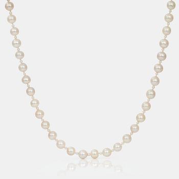 515. A cultured pearl necklace. Clasp with sapphire and diamonds.