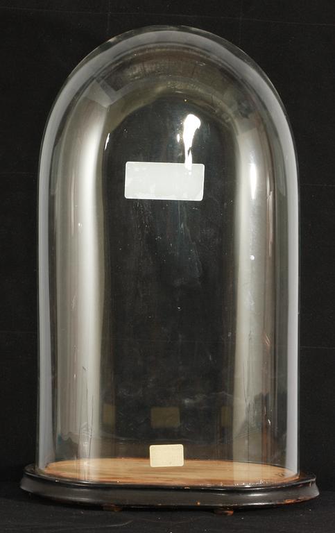 GLASKUPA med TRÄSTATIV.