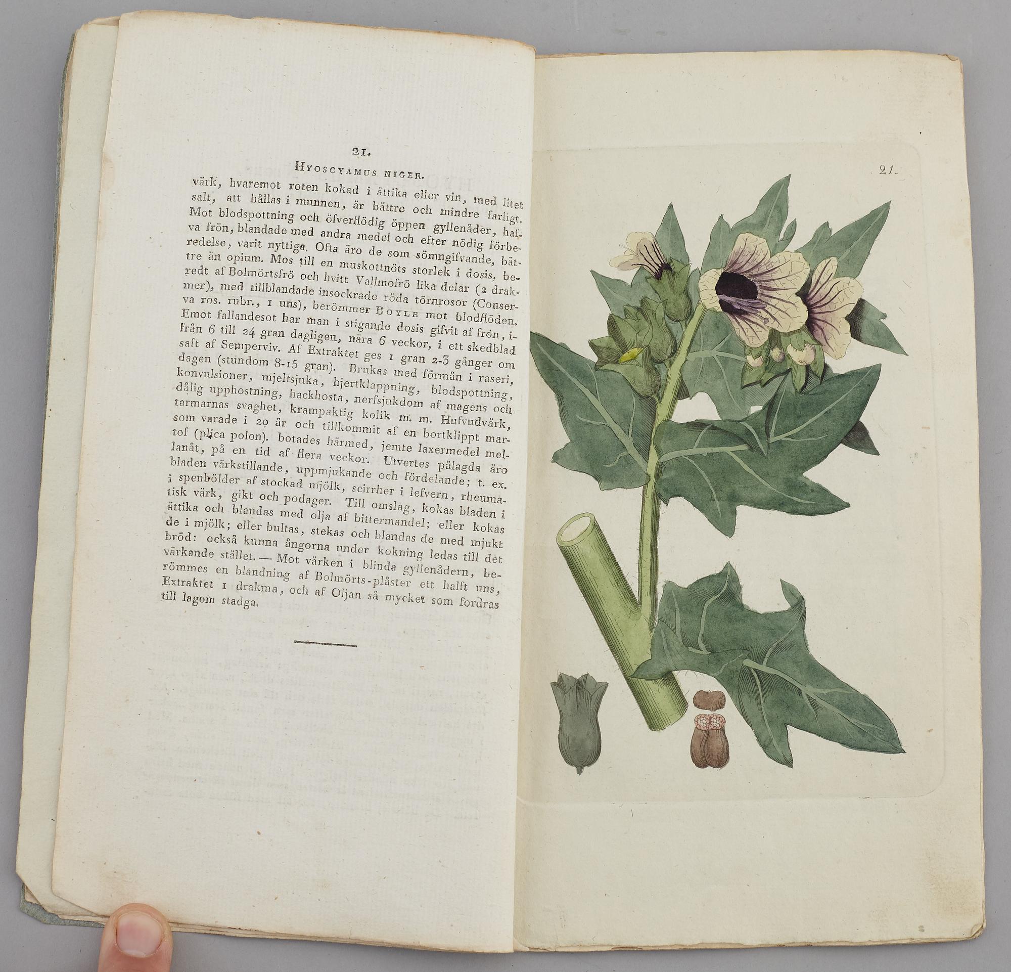 JOHAN WILHELM PALMSTRUCH, "Svensk Botanik, vol I-V. 1803-1805.
