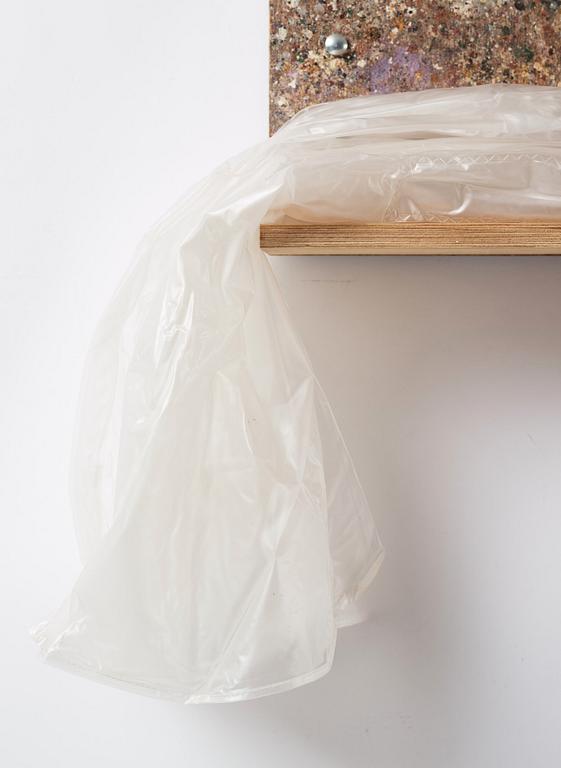 Fredrik Vaerslev, "Shelf Paintings (Dew Problems) #11".