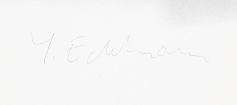 Yrjö Edelmann, "Stringed case of lemons I".