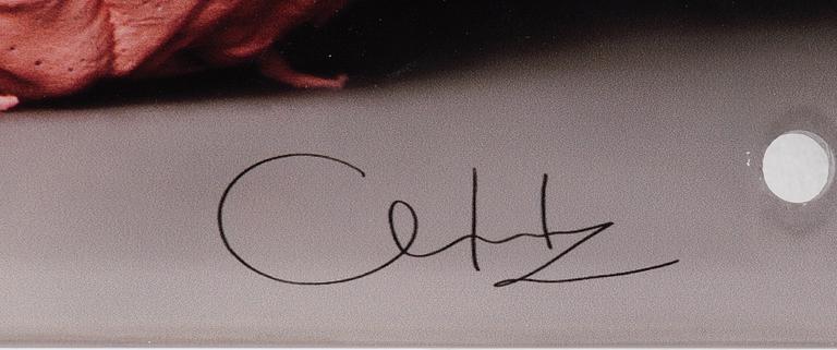 Clara Hallencreutz, crystal archive paper mounted plexi, signed.