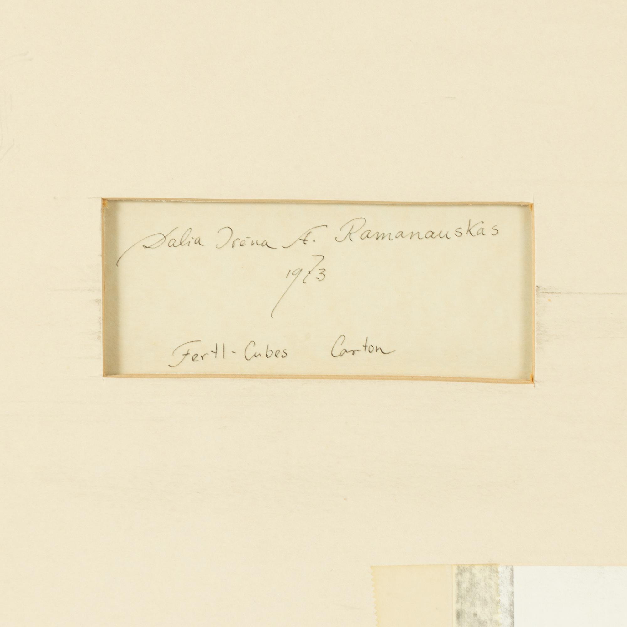 Dalia Ramanauskas, "Fertl-cubes Carton".