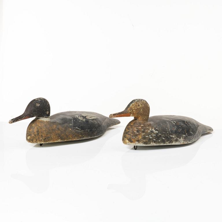 A pair of wood duck decoys, 20th century.