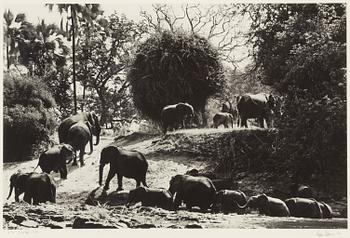 Håkan Ludwigson, "Zambesi" 1998.