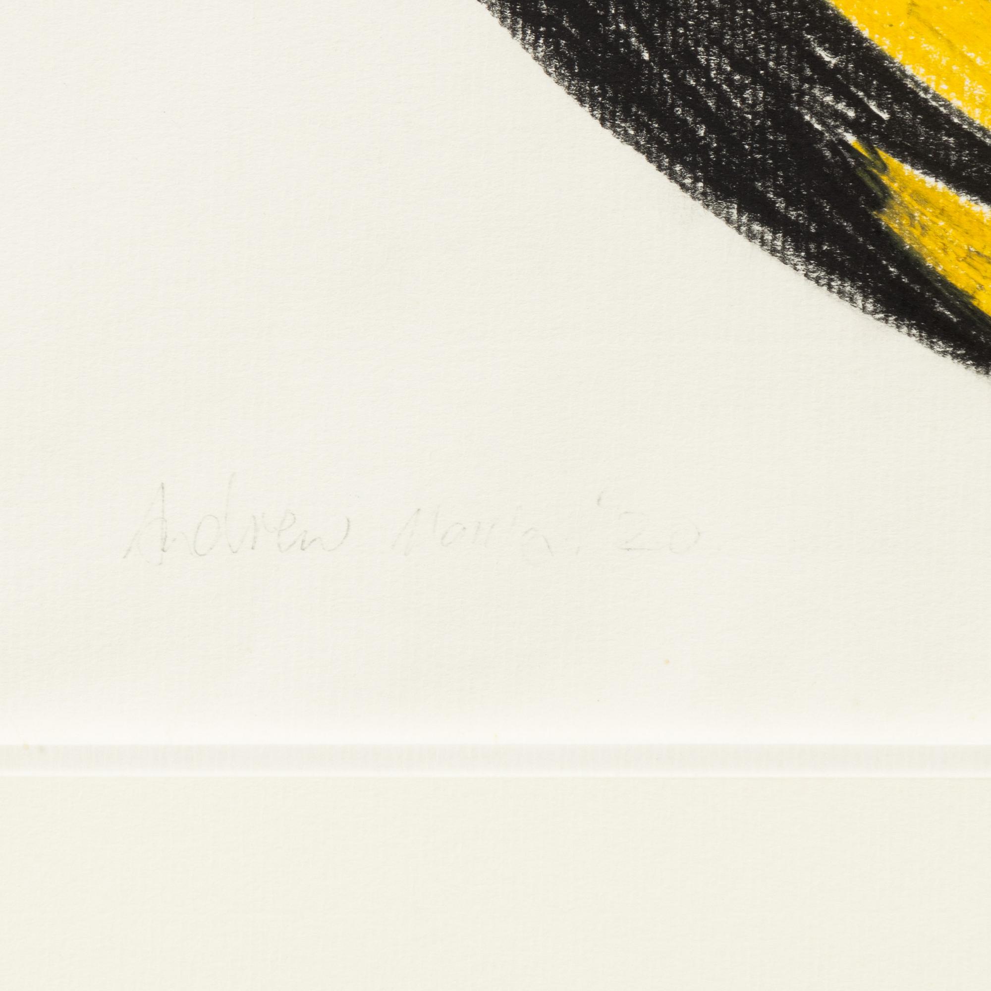 Andrew Mania, Untitled.