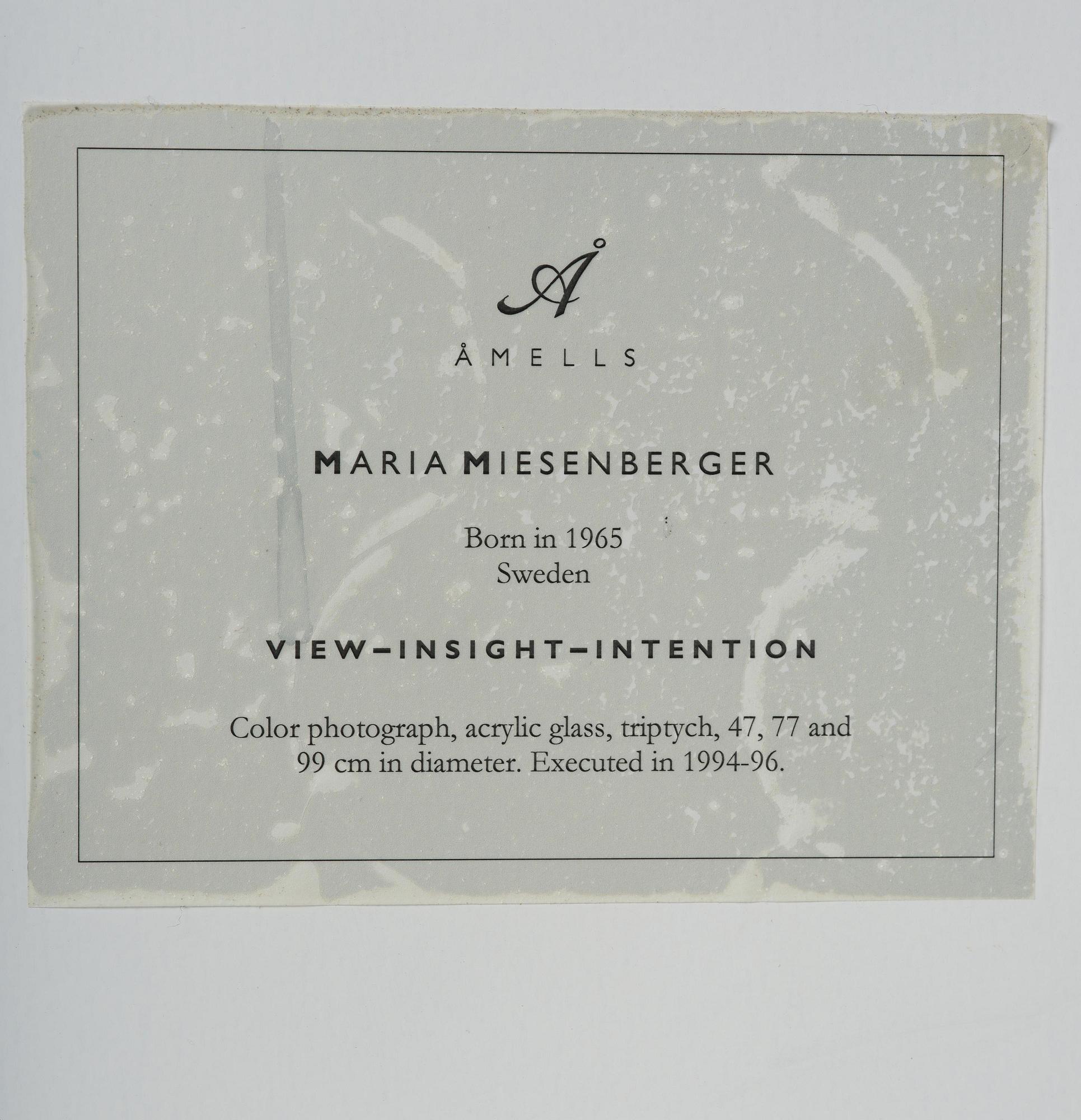 Maria Miesenberger, "View-Insight-Intention", 1994.